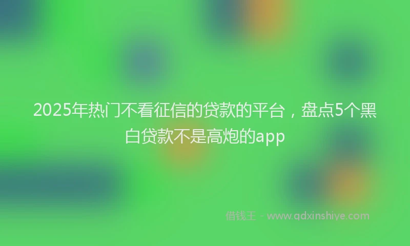 2025年热门不看征信的贷款的平台，盘点5个黑白贷款不是高炮的app