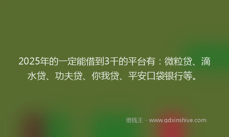 2025年的一定能借到3千的平台有：微粒贷、滴水贷、功夫贷、你我贷、平安口袋银行等。