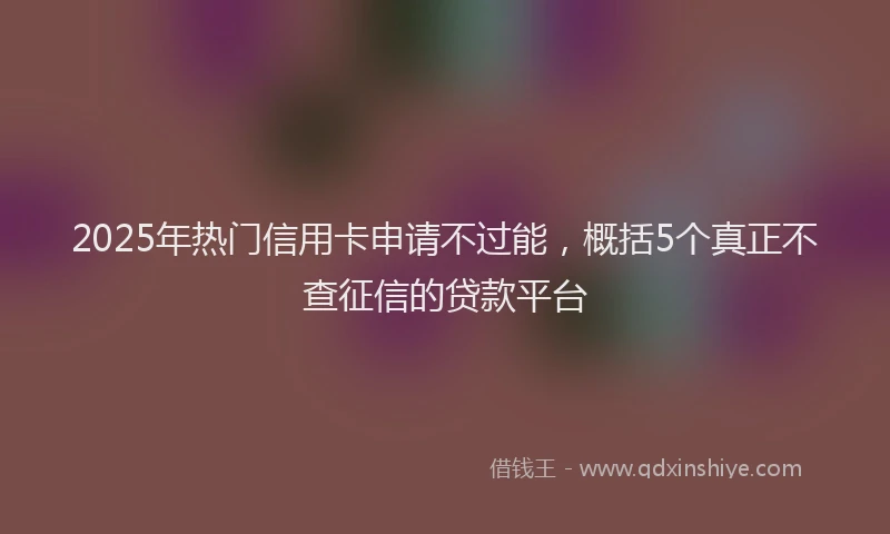 2025年热门信用卡申请不过能，概括5个真正不查征信的贷款平台