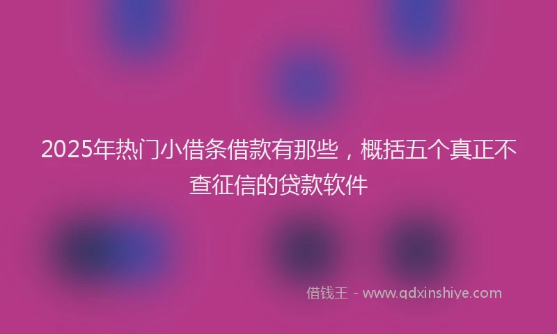 2025年热门小借条借款有那些，概括五个真正不查征信的贷款软件