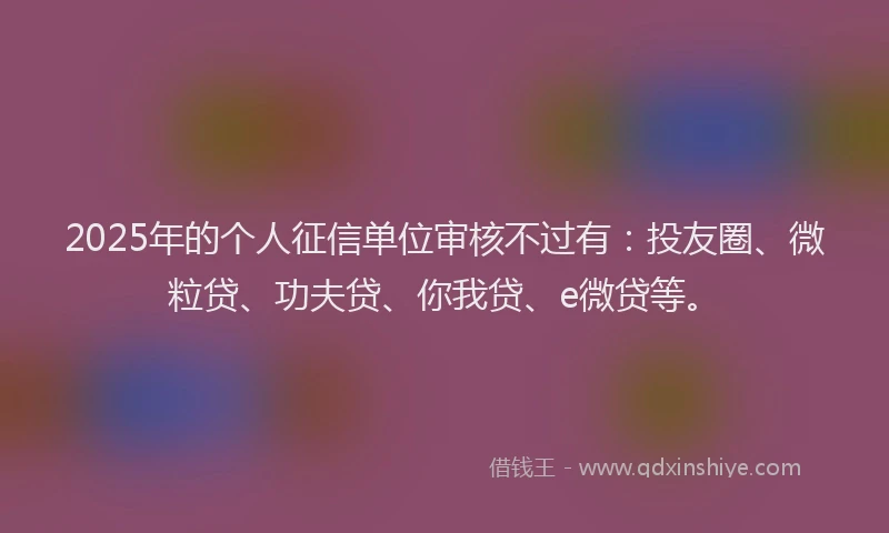 2025年的个人征信单位审核不过有：投友圈、微粒贷、功夫贷、你我贷、e微贷等。