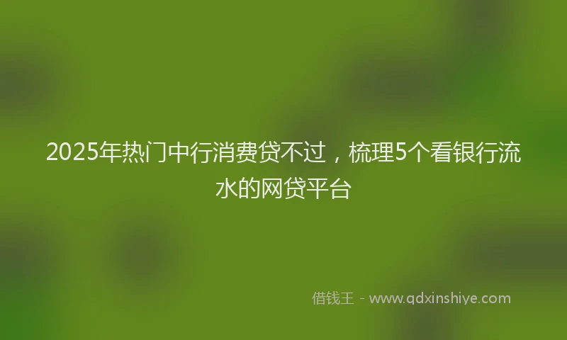 2025年热门中行消费贷不过，梳理5个看银行流水的网贷平台