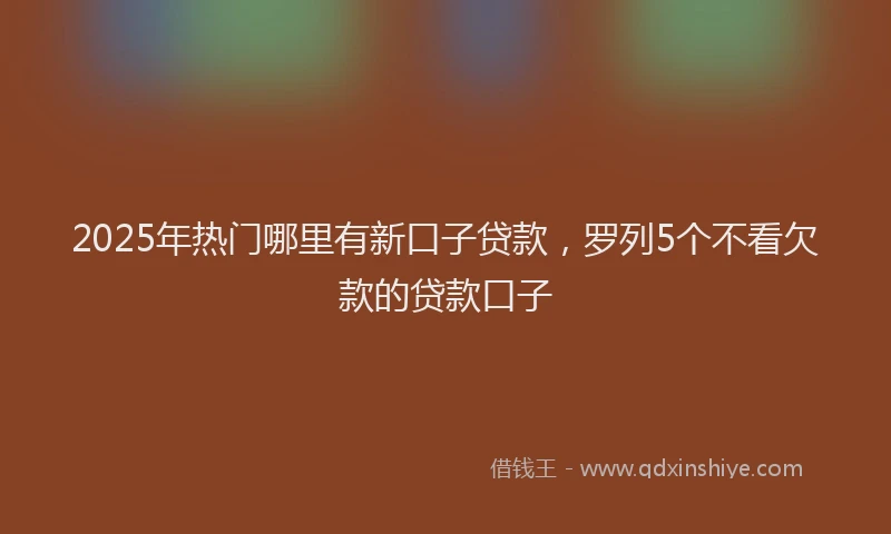 2025年热门哪里有新口子贷款，罗列5个不看欠款的贷款口子