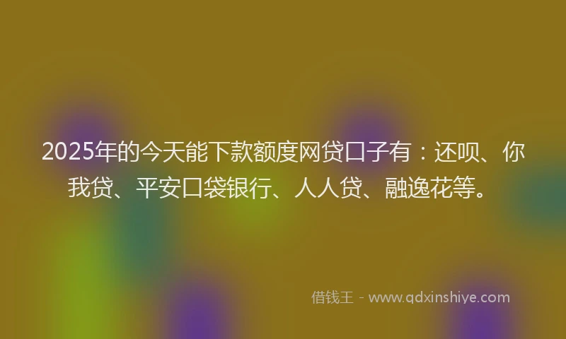 2025年的今天能下款额度网贷口子有：还呗、你我贷、平安口袋银行、人人贷、融逸花等。