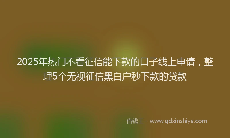 2025年热门不看征信能下款的口子线上申请，整理5个无视征信黑白户秒下款的贷款