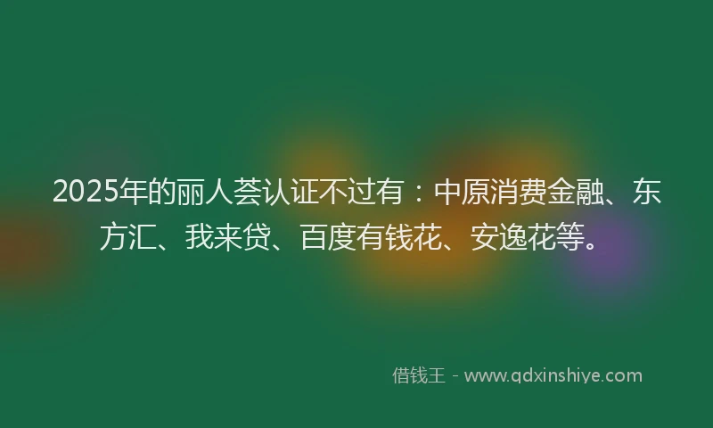 2025年的丽人荟认证不过有：中原消费金融、东方汇、我来贷、百度有钱花、安逸花等。