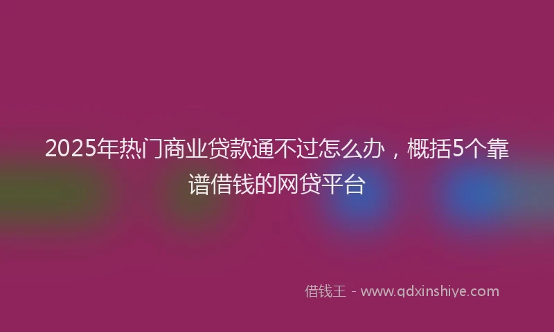 2025年热门商业贷款通不过怎么办，概括5个靠谱借钱的网贷平台