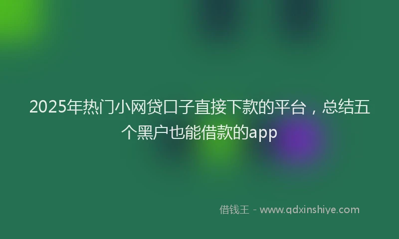 2025年热门小网贷口子直接下款的平台，总结五个黑户也能借款的app