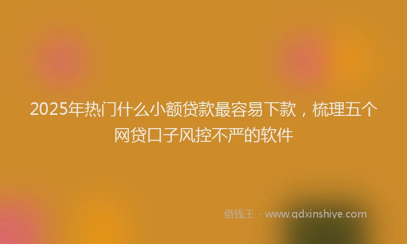 2025年热门什么小额贷款最容易下款，梳理五个网贷口子风控不严的软件