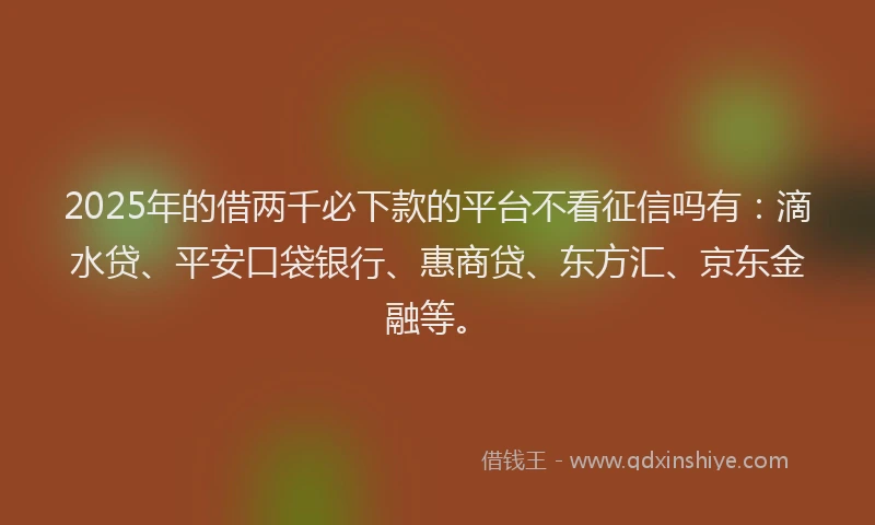 2025年的借两千必下款的平台不看征信吗有：滴水贷、平安口袋银行、惠商贷、东方汇、京东金融等。