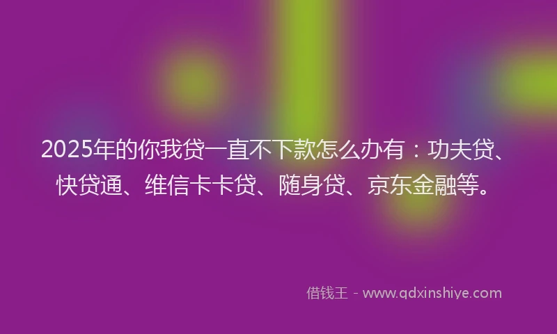 2025年的你我贷一直不下款怎么办有：功夫贷、快贷通、维信卡卡贷、随身贷、京东金融等。
