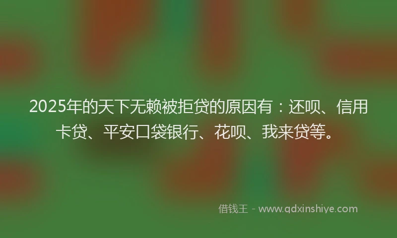 2025年的天下无赖被拒贷的原因有：还呗、信用卡贷、平安口袋银行、花呗、我来贷等。