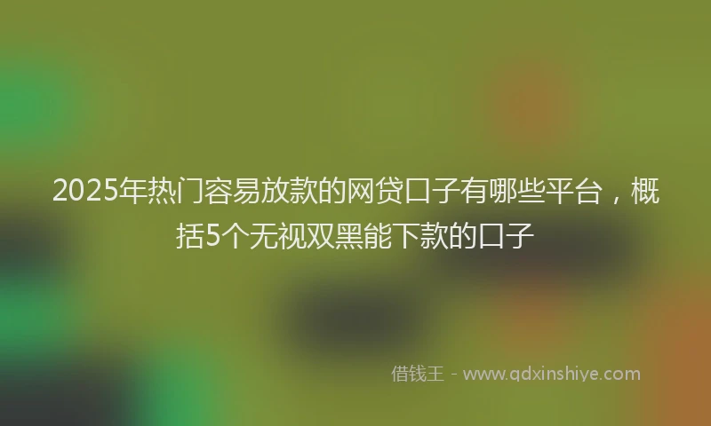 2025年热门容易放款的网贷口子有哪些平台，概括5个无视双黑能下款的口子