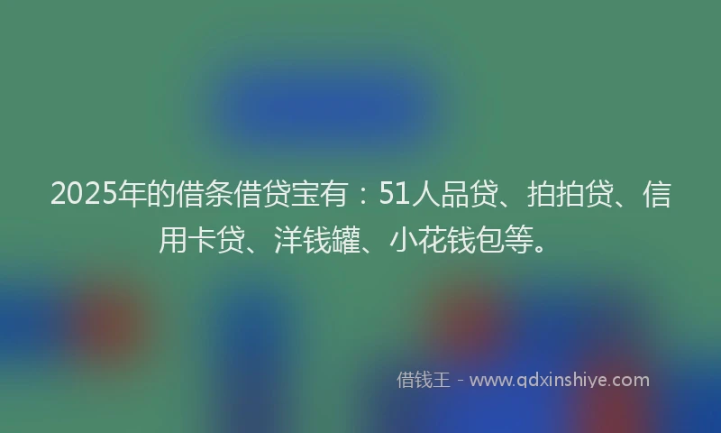 2025年的借条借贷宝有：51人品贷、拍拍贷、信用卡贷、洋钱罐、小花钱包等。