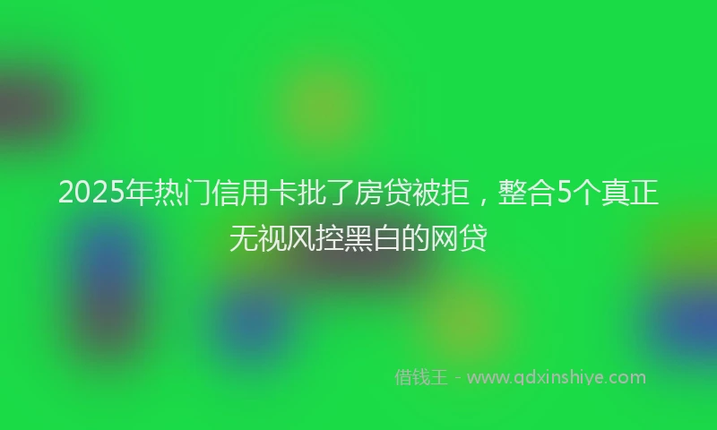 2025年热门信用卡批了房贷被拒，整合5个真正无视风控黑白的网贷