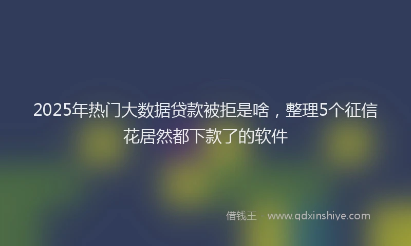 2025年热门大数据贷款被拒是啥，整理5个征信花居然都下款了的软件