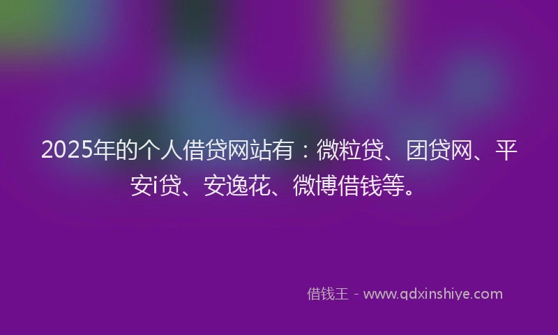 2025年的个人借贷网站有：微粒贷、团贷网、平安i贷、安逸花、微博借钱等。