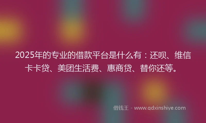2025年的专业的借款平台是什么有：还呗、维信卡卡贷、美团生活费、惠商贷、替你还等。