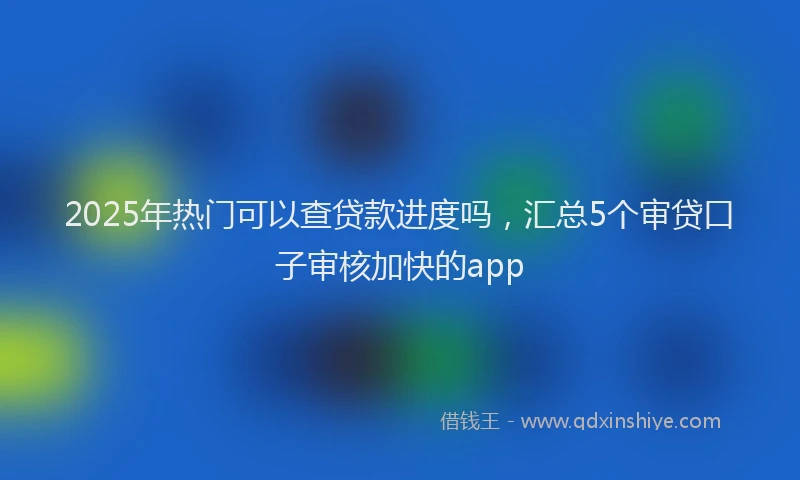 2025年热门可以查贷款进度吗，汇总5个审贷口子审核加快的app