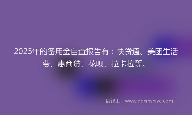 2025年的备用金自查报告有：快贷通、美团生活费、惠商贷、花呗、拉卡拉等。