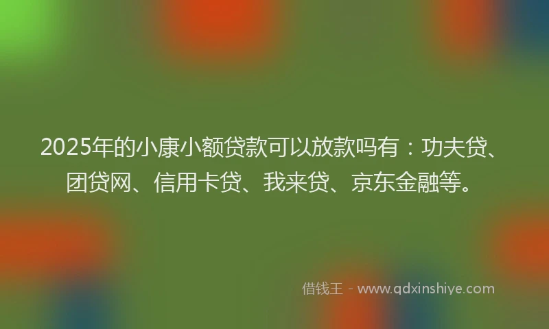 2025年的小康小额贷款可以放款吗有:功夫贷、团贷网、信用卡贷、我来贷、京东金融等。