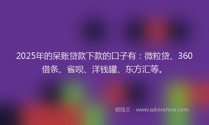 2025年的呆账贷款下款的口子有：微粒贷、360借条、省呗、洋钱罐、东方汇等。