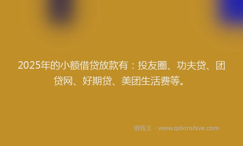 2025年的小额借贷放款有：投友圈、功夫贷、团贷网、好期贷、美团生活费等。