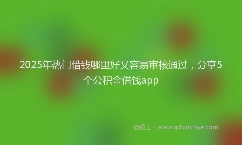 2025年热门借钱哪里好又容易审核通过，分享5个公积金借钱app