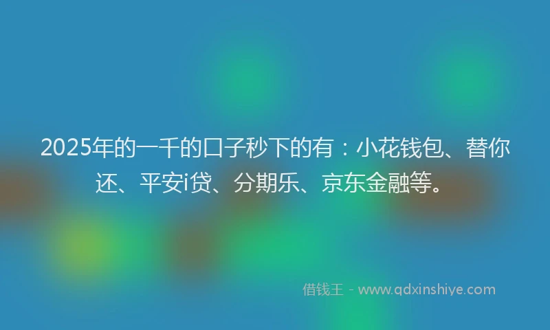 2025年的一千的口子秒下的有：小花钱包、替你还、平安i贷、分期乐、京东金融等。