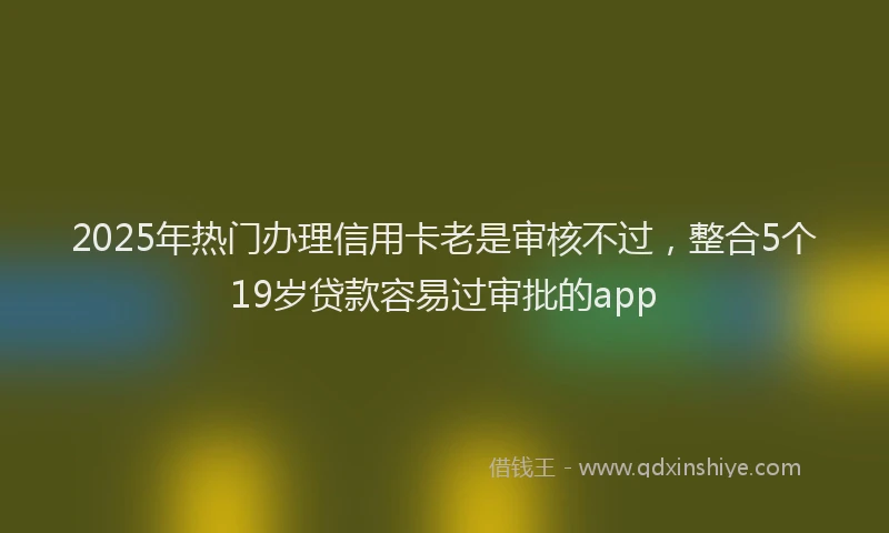 2025年热门办理信用卡老是审核不过，整合5个19岁贷款容易过审批的app