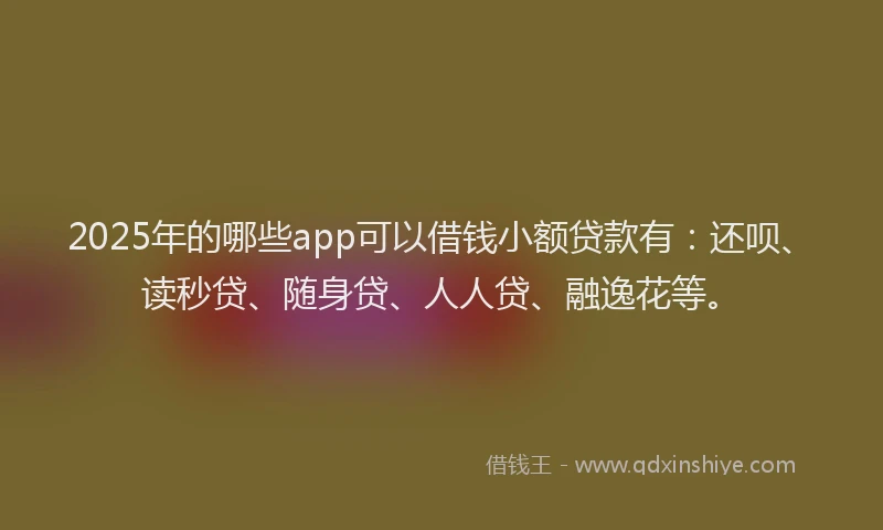 2025年的哪些app可以借钱小额贷款有：还呗、读秒贷、随身贷、人人贷、融逸花等。