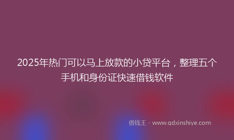 2025年热门可以马上放款的小贷平台，整理五个手机和身份证快速借钱软件
