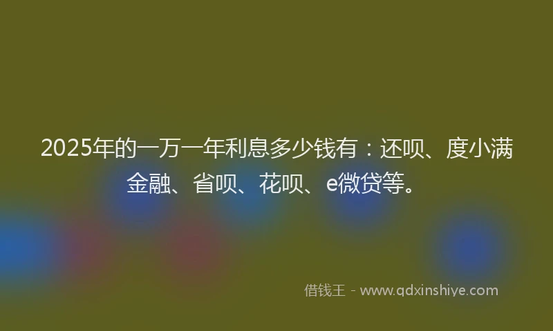 2025年的一万一年利息多少钱有：还呗、度小满金融、省呗、花呗、e微贷等。