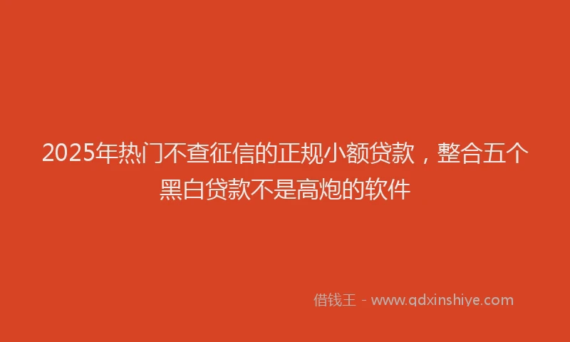2025年热门不查征信的正规小额贷款，整合五个黑白贷款不是高炮的软件