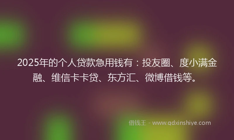 2025年的个人贷款急用钱有：投友圈、度小满金融、维信卡卡贷、东方汇、微博借钱等。