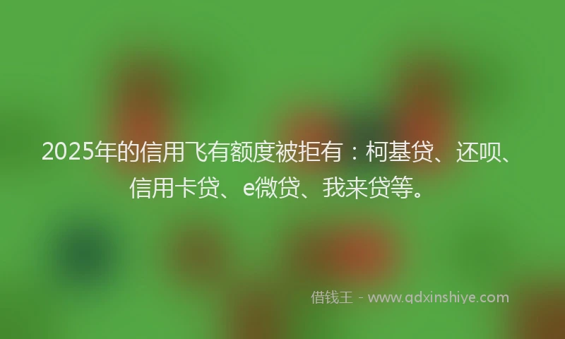 2025年的信用飞有额度被拒有：柯基贷、还呗、信用卡贷、e微贷、我来贷等。