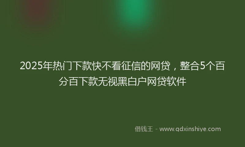 2025年热门下款快不看征信的网贷，整合5个百分百下款无视黑白户网贷软件
