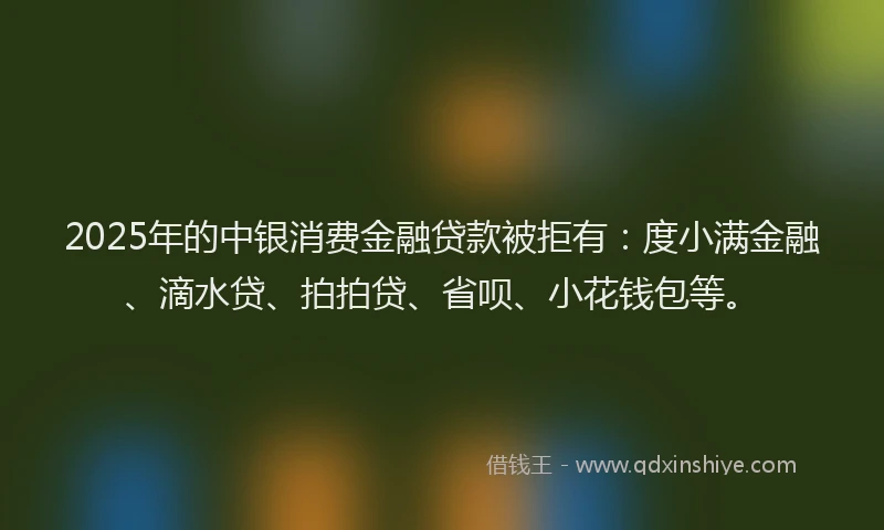 2025年的中银消费金融贷款被拒有：度小满金融、滴水贷、拍拍贷、省呗、小花钱包等。
