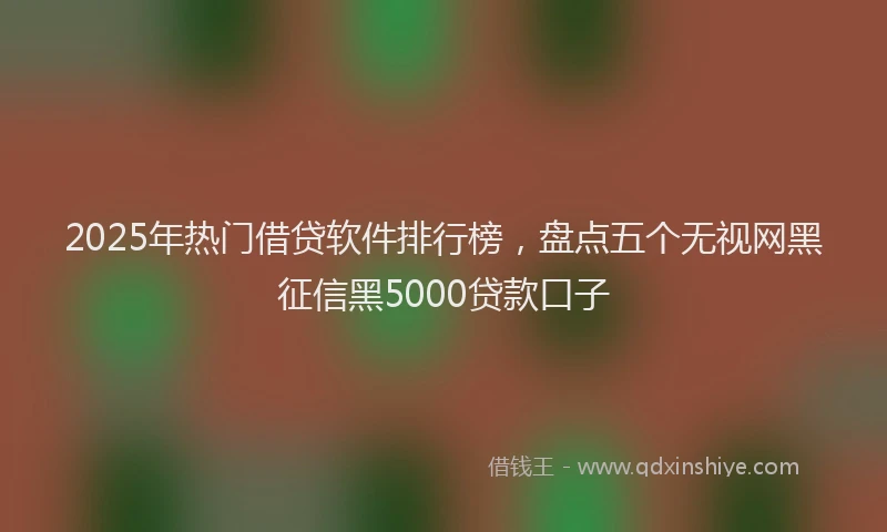 2025年热门借贷软件排行榜，盘点五个无视网黑征信黑5000贷款口子