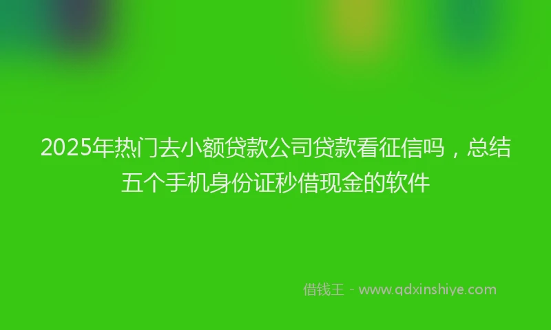 2025年热门去小额贷款公司贷款看征信吗，总结五个手机身份证秒借现金的软件