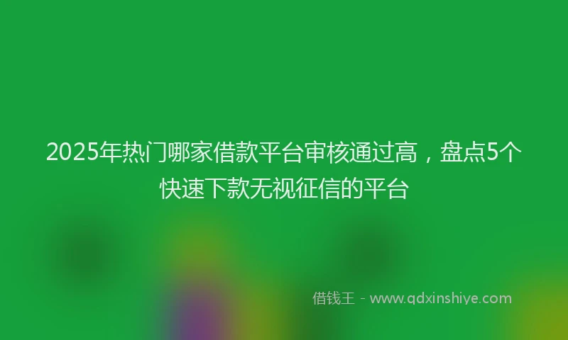 2025年热门哪家借款平台审核通过高，盘点5个快速下款无视征信的平台