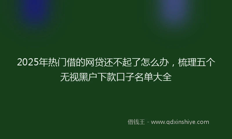 2025年热门借的网贷还不起了怎么办，梳理五个无视黑户下款口子名单大全