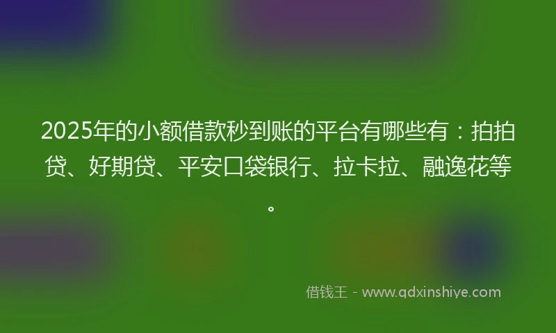 2025年的小额借款秒到账的平台有哪些有：拍拍贷、好期贷、平安口袋银行、拉卡拉、融逸花等。