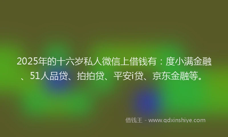 2025年的十六岁私人微信上借钱有：度小满金融、51人品贷、拍拍贷、平安i贷、京东金融等。