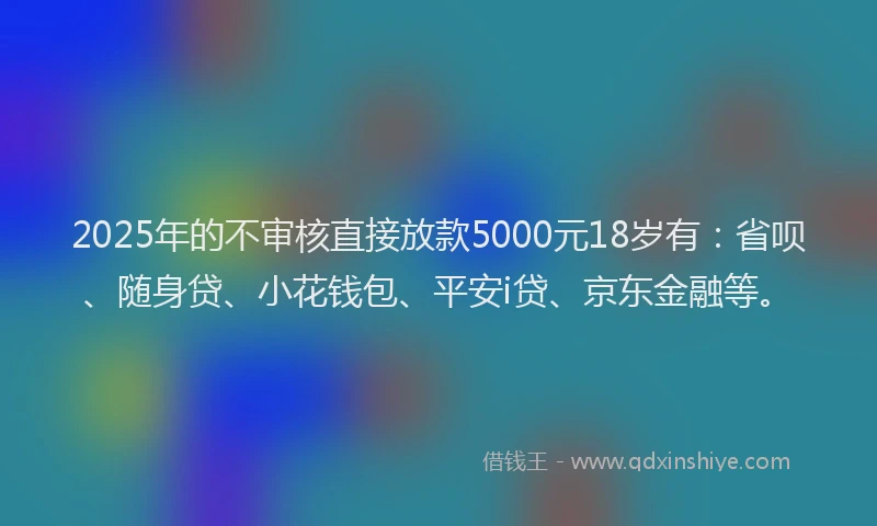2025年的不审核直接放款5000元18岁有：省呗、随身贷、小花钱包、平安i贷、京东金融等。