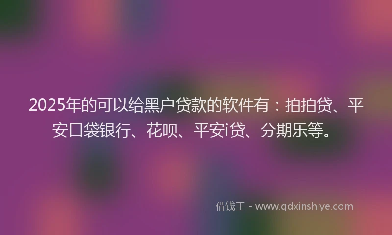 2025年的可以给黑户贷款的软件有：拍拍贷、平安口袋银行、花呗、平安i贷、分期乐等。