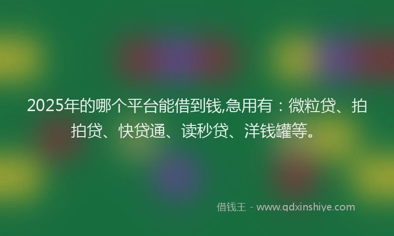 2025年的哪个平台能借到钱,急用有：微粒贷、拍拍贷、快贷通、读秒贷、洋钱罐等。