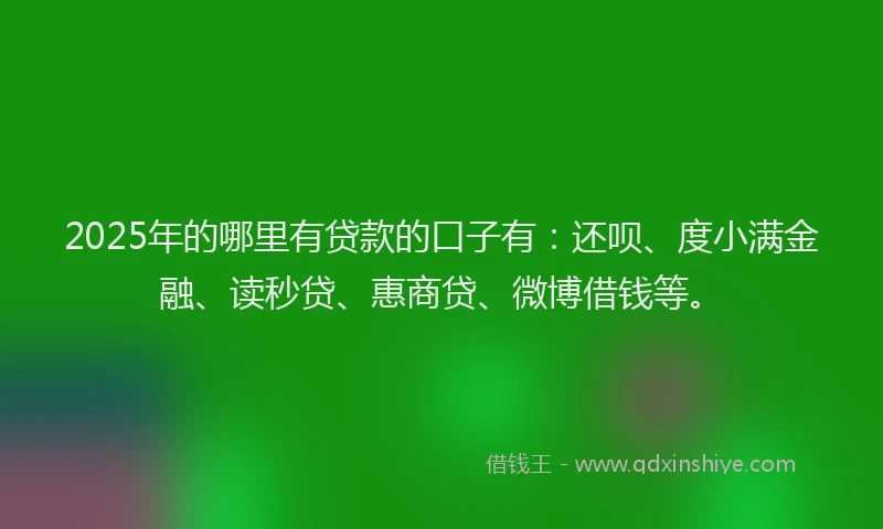 2025年的哪里有贷款的口子有：还呗、度小满金融、读秒贷、惠商贷、微博借钱等。