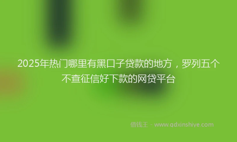 2025年热门哪里有黑口子贷款的地方，罗列五个不查征信好下款的网贷平台