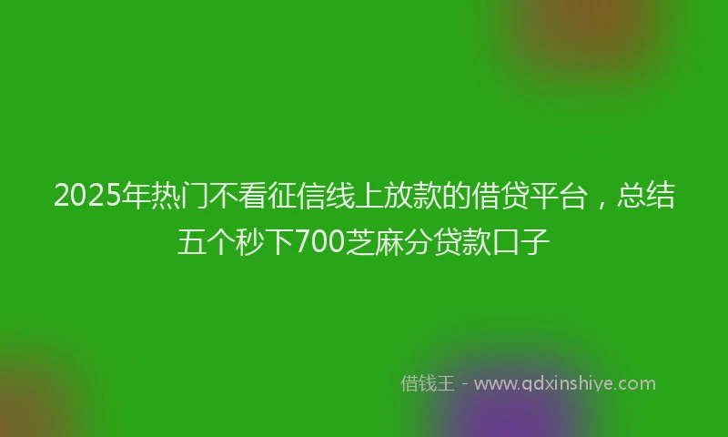 2025年热门不看征信线上放款的借贷平台，总结五个秒下700芝麻分贷款口子